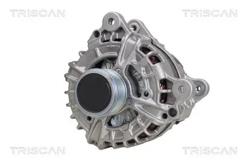 Generator 14 V TRISCAN 8310 29062