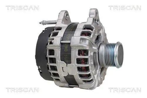 Generator 14 V TRISCAN 8310 29062 Bild Generator 14 V TRISCAN 8310 29062