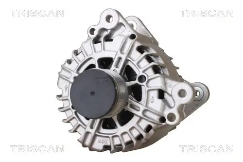 Generator 12 V TRISCAN 8310 29063
