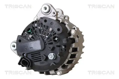 Generator 12 V TRISCAN 8310 29063 Bild Generator 12 V TRISCAN 8310 29063