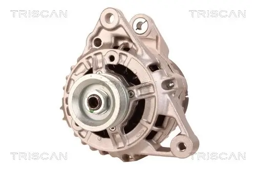 Generator 12 V TRISCAN 8310 29065