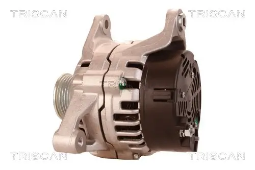 Generator 12 V TRISCAN 8310 29065 Bild Generator 12 V TRISCAN 8310 29065