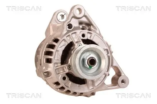 Generator 12 V TRISCAN 8310 29065 Bild Generator 12 V TRISCAN 8310 29065