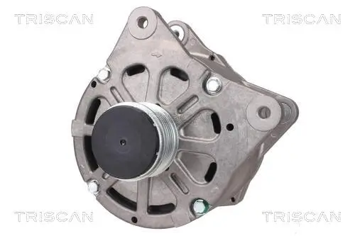 Generator 12 V TRISCAN 8310 29066