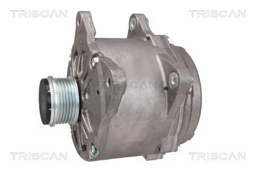 Generator 12 V TRISCAN 8310 29066 Bild Generator 12 V TRISCAN 8310 29066