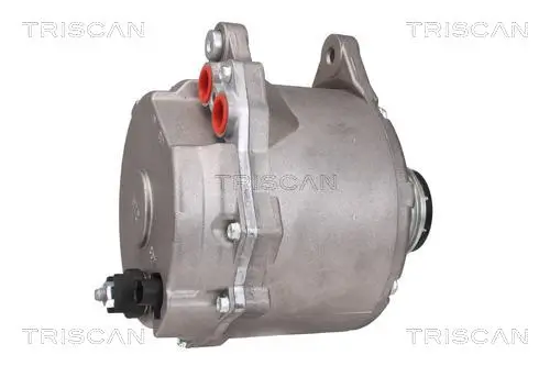 Generator 12 V TRISCAN 8310 29066 Bild Generator 12 V TRISCAN 8310 29066