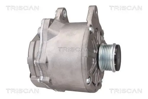 Generator 12 V TRISCAN 8310 29066 Bild Generator 12 V TRISCAN 8310 29066