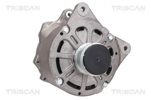 Generator 12 V TRISCAN 8310 29066 Bild Generator 12 V TRISCAN 8310 29066