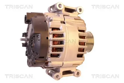 Generator 14 V TRISCAN 8310 29068 Bild Generator 14 V TRISCAN 8310 29068