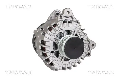 Generator 14 V TRISCAN 8310 29069 Bild Generator 14 V TRISCAN 8310 29069