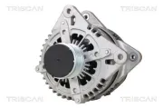 Generator 14 V TRISCAN 8310 29072