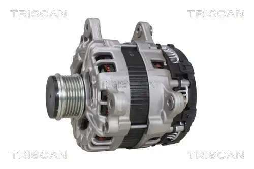 Generator 12 V TRISCAN 8310 29073 Bild Generator 12 V TRISCAN 8310 29073
