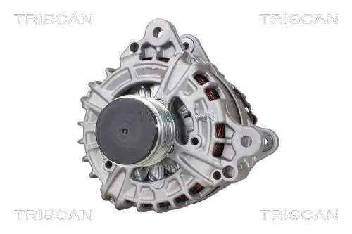 Generator 12 V TRISCAN 8310 29073 Bild Generator 12 V TRISCAN 8310 29073