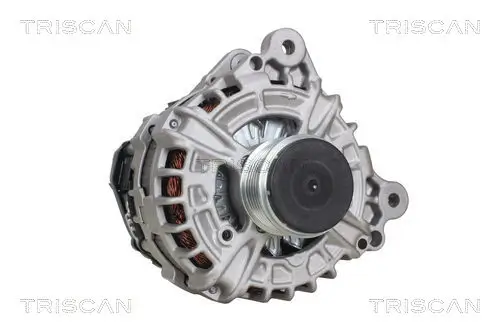 Generator 12 V TRISCAN 8310 29073 Bild Generator 12 V TRISCAN 8310 29073