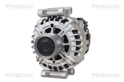 Generator 14 V TRISCAN 8310 29074 Bild Generator 14 V TRISCAN 8310 29074