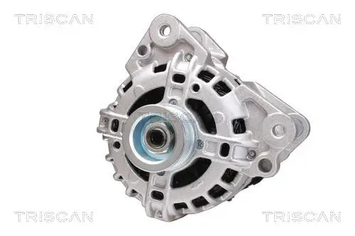 Generator 14 V TRISCAN 8310 29078