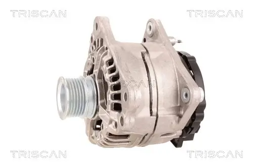 Generator 12 V TRISCAN 8310 29079 Bild Generator 12 V TRISCAN 8310 29079