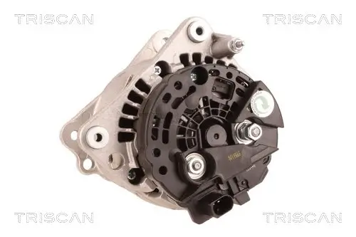 Generator 12 V TRISCAN 8310 29079 Bild Generator 12 V TRISCAN 8310 29079