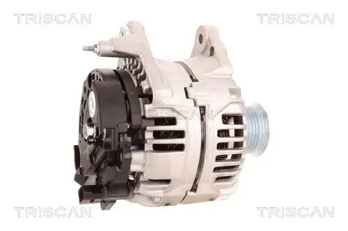 Generator 12 V TRISCAN 8310 29079 Bild Generator 12 V TRISCAN 8310 29079