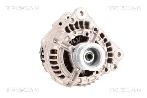Generator 12 V TRISCAN 8310 29079 Bild Generator 12 V TRISCAN 8310 29079