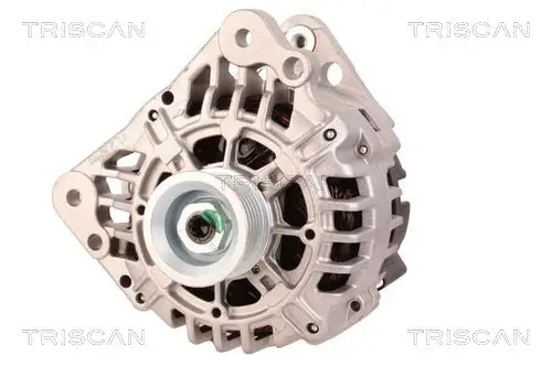 Generator 12 V TRISCAN 8310 29081