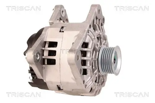 Generator 12 V TRISCAN 8310 29081 Bild Generator 12 V TRISCAN 8310 29081