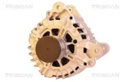 Generator 14 V TRISCAN 8310 29085