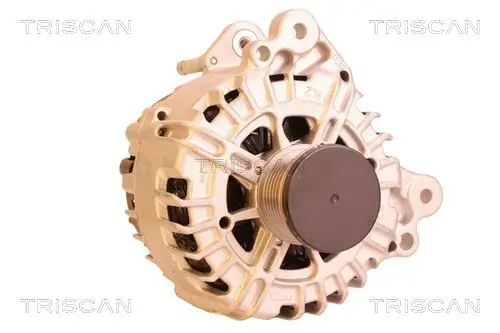 Generator 14 V TRISCAN 8310 29085 Bild Generator 14 V TRISCAN 8310 29085