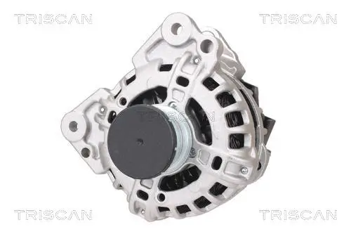 Generator 14 V TRISCAN 8310 29087