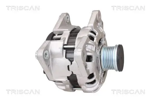 Generator 14 V TRISCAN 8310 29087 Bild Generator 14 V TRISCAN 8310 29087