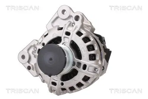 Generator 14 V TRISCAN 8310 29088