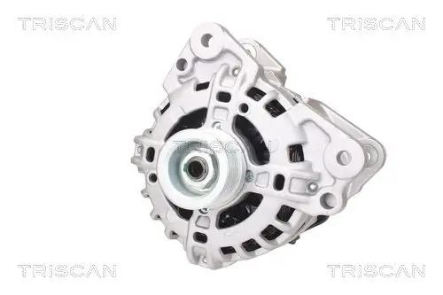 Generator 12 V TRISCAN 8310 29089