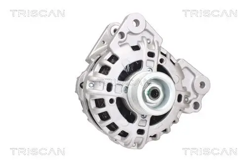 Generator 12 V TRISCAN 8310 29089 Bild Generator 12 V TRISCAN 8310 29089