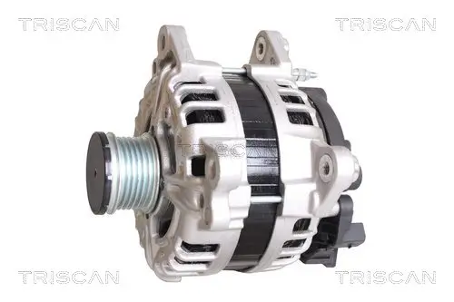 Generator 14 V TRISCAN 8310 29090 Bild Generator 14 V TRISCAN 8310 29090