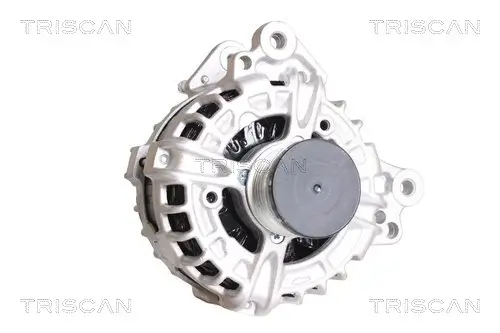Generator 14 V TRISCAN 8310 29090 Bild Generator 14 V TRISCAN 8310 29090