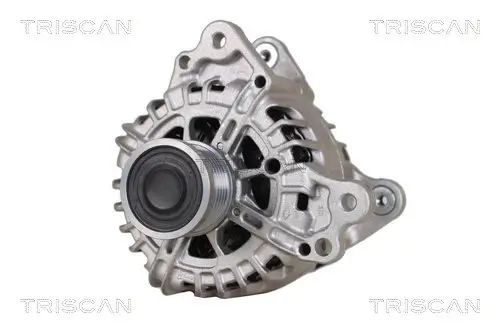 Generator 14 V TRISCAN 8310 29093