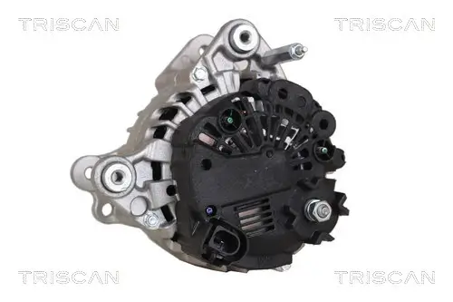 Generator 14 V TRISCAN 8310 29093 Bild Generator 14 V TRISCAN 8310 29093