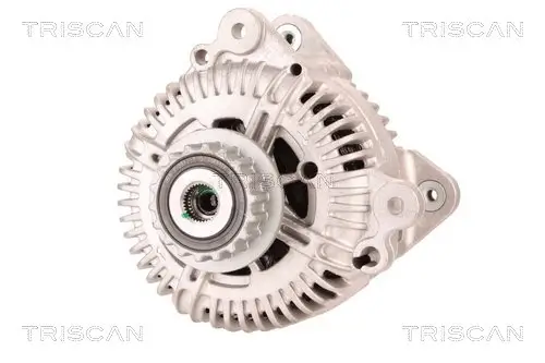 Generator 14 V TRISCAN 8310 29098