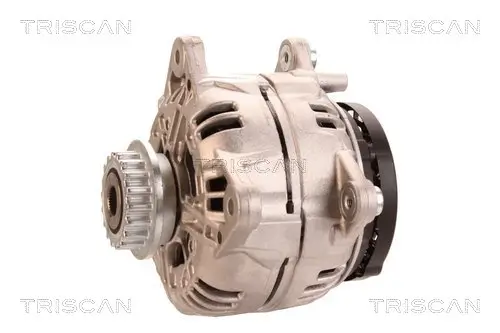 Generator 14 V TRISCAN 8310 29099 Bild Generator 14 V TRISCAN 8310 29099