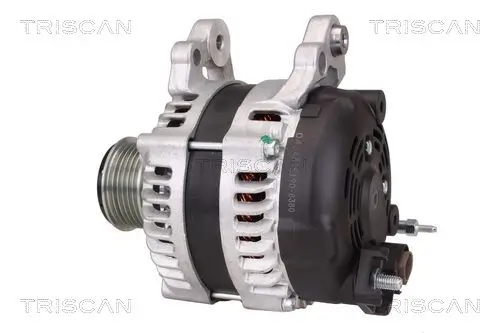 Generator 12 V TRISCAN 8310 29101 Bild Generator 12 V TRISCAN 8310 29101