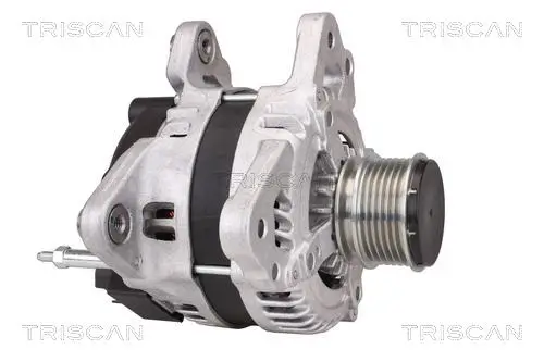 Generator 12 V TRISCAN 8310 29101 Bild Generator 12 V TRISCAN 8310 29101