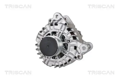 Generator 14 V TRISCAN 8310 29102