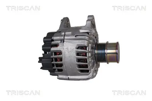 Generator 14 V TRISCAN 8310 29103 Bild Generator 14 V TRISCAN 8310 29103