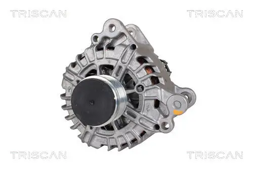 Generator 14 V TRISCAN 8310 29105
