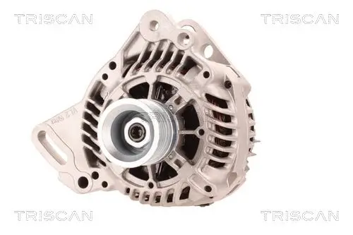 Generator 14 V TRISCAN 8310 29107