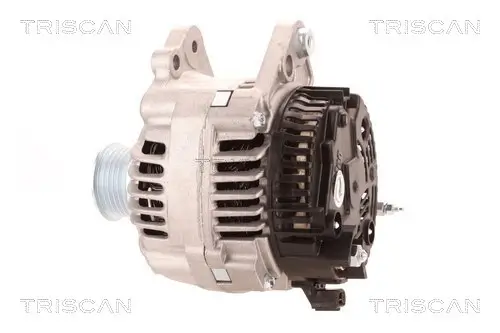 Generator 14 V TRISCAN 8310 29107 Bild Generator 14 V TRISCAN 8310 29107