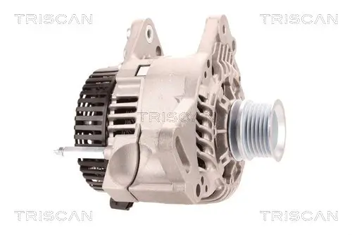 Generator 14 V TRISCAN 8310 29107 Bild Generator 14 V TRISCAN 8310 29107