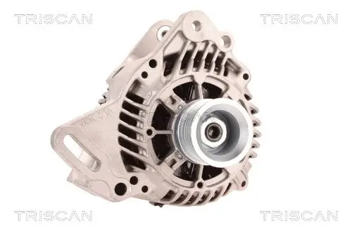 Generator 14 V TRISCAN 8310 29107 Bild Generator 14 V TRISCAN 8310 29107