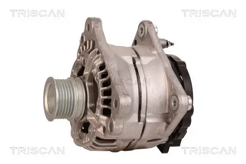 Generator 12 V TRISCAN 8310 29108 Bild Generator 12 V TRISCAN 8310 29108