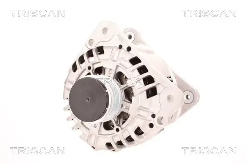 Generator 14 V TRISCAN 8310 29109 Bild Generator 14 V TRISCAN 8310 29109